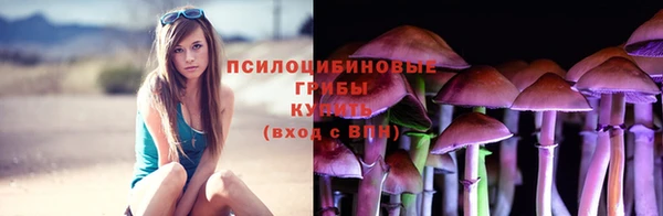 дживик Алзамай