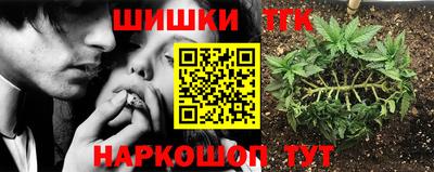 спиды Шелехов