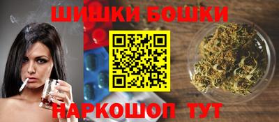 крисы Шебекино