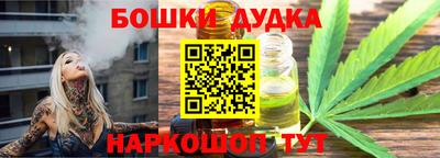 крисы Шебекино