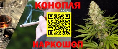 крисы Шебекино