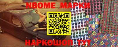 крисы Шебекино