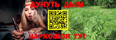 крисы Шебекино