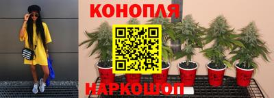 apvp Шахты