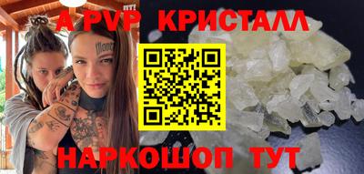 крисы Шебекино