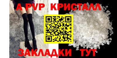 крисы Шебекино
