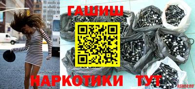 крисы Шебекино