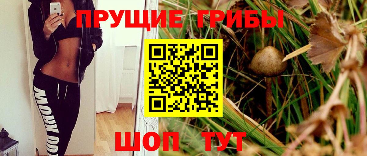 Псилоцибиновые грибы GOLDEN TEACHER  Вход с VPN  закладки  Петровск 